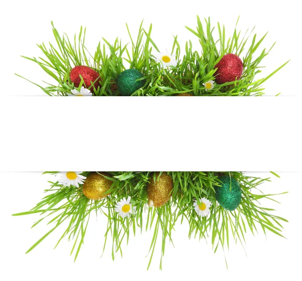 Easter banner with grass,flowers and painted eggs — Stock Photo, Image