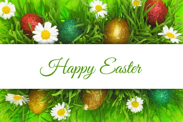 Easter banner with grass,flowers and painted eggs — Stock Photo, Image