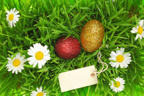 Hierba verde con huevos brillantes de Pascua y etiqueta —  Fotos de Stock