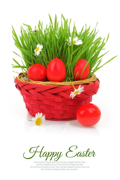 Wicker basket with red Easter eggs and fresh grass — Stock Photo, Image