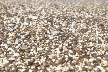 Küçük çakıl makro arka plan dokulu 