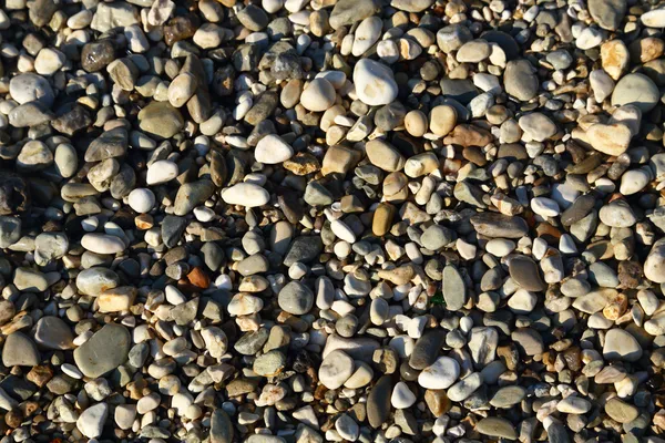 Små stenar texturerat makro bakgrund — Stockfoto