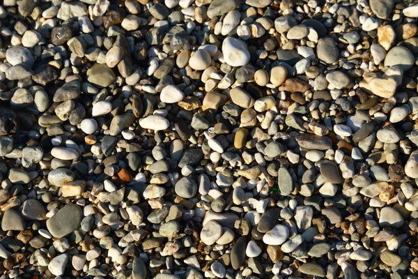 Kleine Kieselsteine strukturierten Makro-Hintergrund — Stockfoto