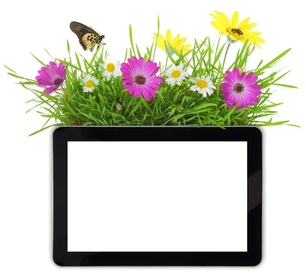 Tablet with blank white screen,grass and flowers — Stock Photo, Image