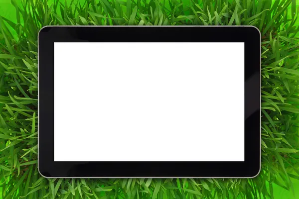 Tableta con pantalla blanca en blanco rodeada de hierba —  Fotos de Stock