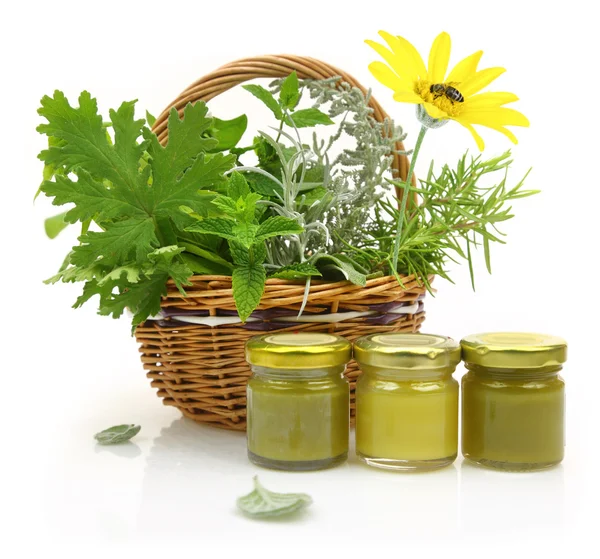 Fresh herbs in wicker basket and cosmetic creams — Stock Photo, Image