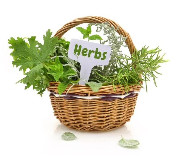 Fresh herbs in wicker basket with a tag — Stock Photo, Image