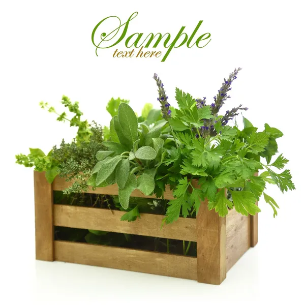Ervas frescas em caixa de madeira — Fotografia de Stock