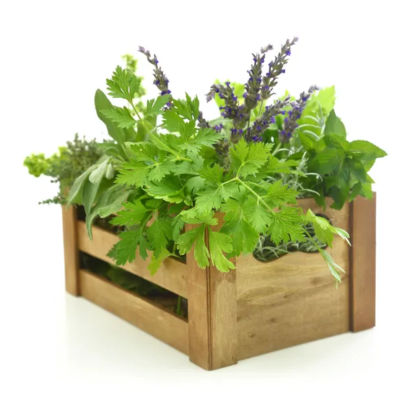 Fresh herbs in wooden box — Stock Photo, Image