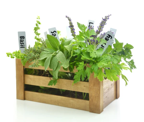 Ervas frescas com etiquetas de nome em caixa de madeira — Fotografia de Stock