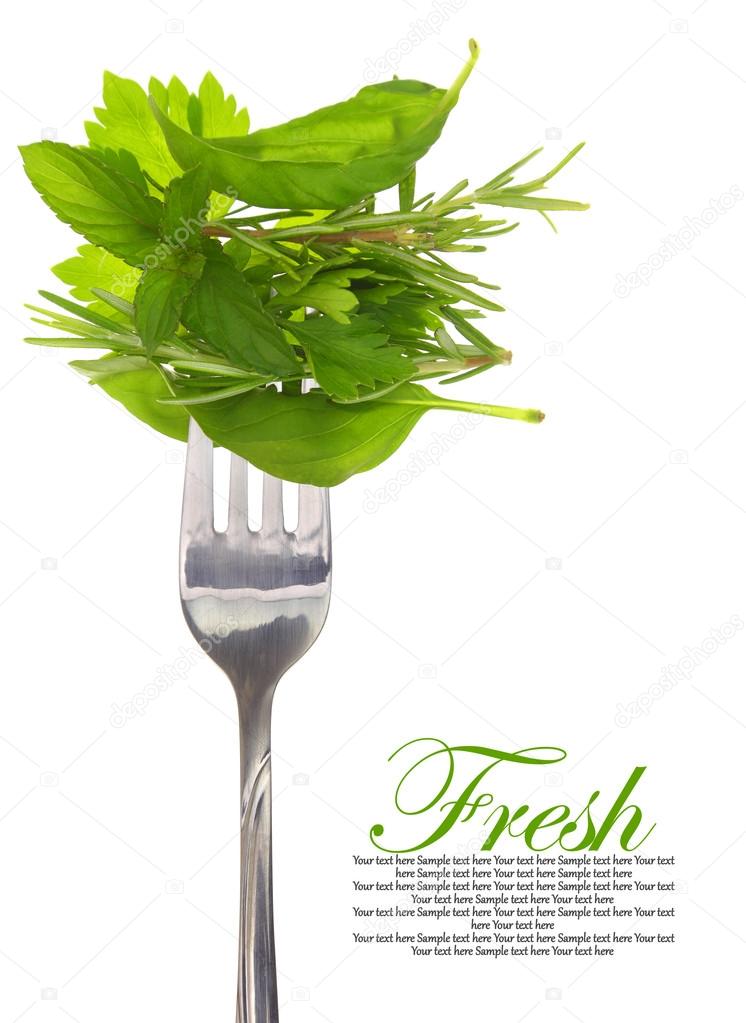 Various leaves of herbs on fork