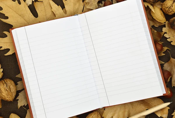 Cuaderno en blanco sobre fondo de otoño — Foto de Stock