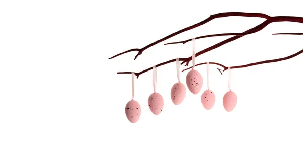Easter Eggs Hanging Branch White Backgroun — Stock Photo, Image