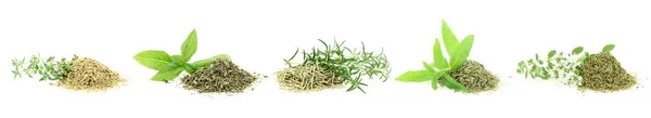 Herbs Spice Collection Fresh Dry Aromati — Stock Photo, Image