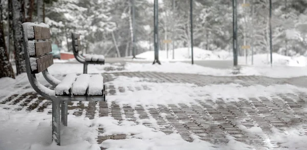 Pansarbanderoll Parkbänk Täckt Med Snö Parken — Stockfoto