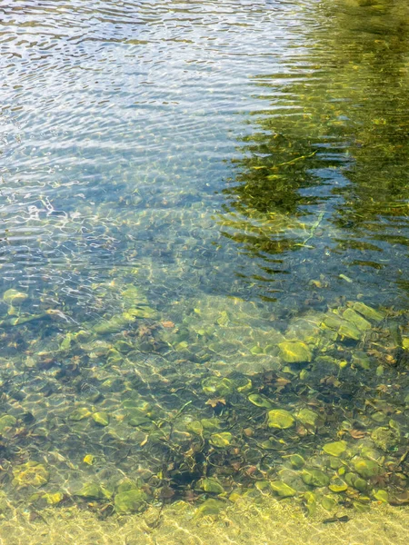 Meerwasser Auf Türkisfarbenen Unterwasserkieselsteinen Und Pflanzen Hintergrund Textur Spiegelbild Eines — Stockfoto