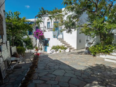 Yunanistan. Tinos Adası, Volax Köyü. Kiklad geleneksel mimarisi beyaz ve mavi renkler, asfalt sokaklar, hediyelik eşya dükkanı, bitkiler.