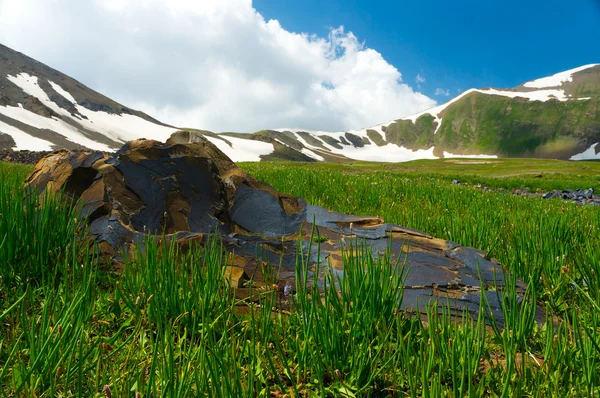 Горы, покрытые снегом, большой камень, зеленый луг — стоковое фото