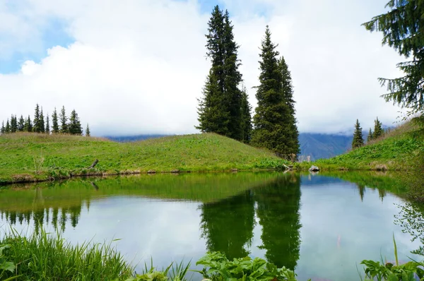 Reflexión de abetos agraciados en el agua. Lago de montaña Kel-Kogor . —  Fotos de Stock