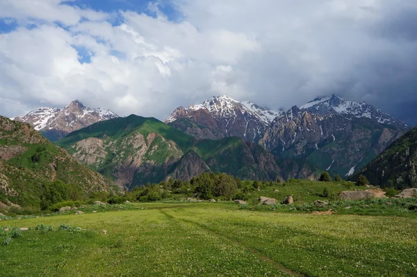 Montañas cubiertas de nieve, un prado verde con una hierba jugosa y el cielo azul oscuro — Foto de Stock