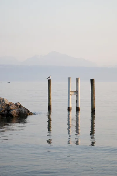 Vogel auf Seebrücke am Genfer See — Stockfoto