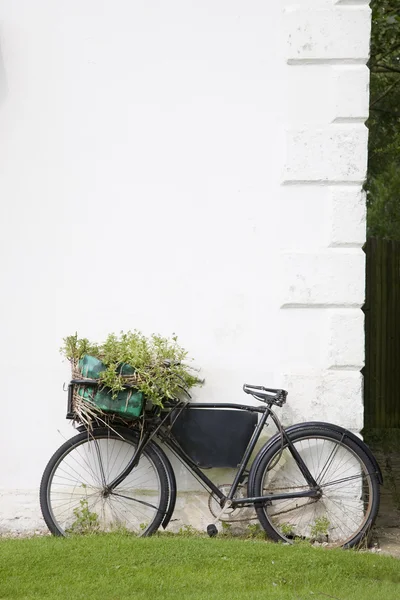 Rural Bike — Stock Photo, Image