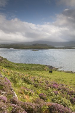 dunvegan duirinish doğru Isle of skye arıyorsunuz