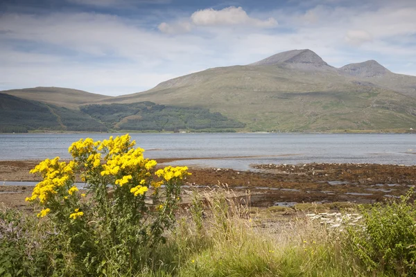 Landschaft; Insel Mull — Stockfoto