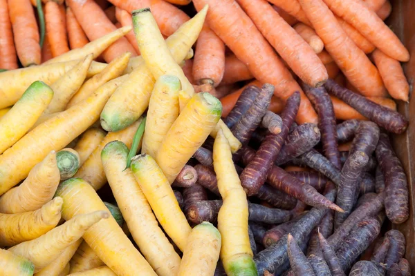 Varios tipos de zanahorias — Foto de Stock