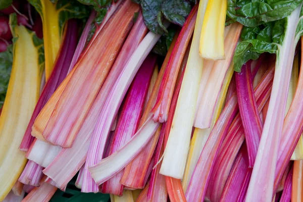 Swiss Chard — Stock Photo, Image