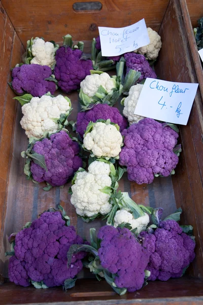 Weißer und lila Blumenkohl — Stockfoto