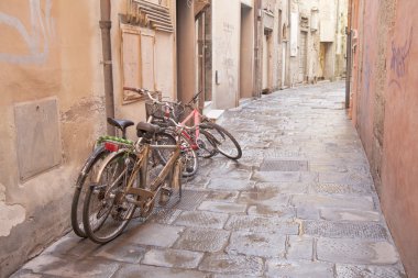 sokaklarda terkedilmiş Bisikletleri