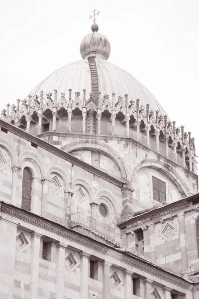 Katedra kościół Pisa, Włochy — Zdjęcie stockowe