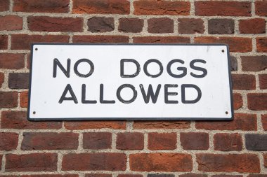 Köpekler imza atamaz.