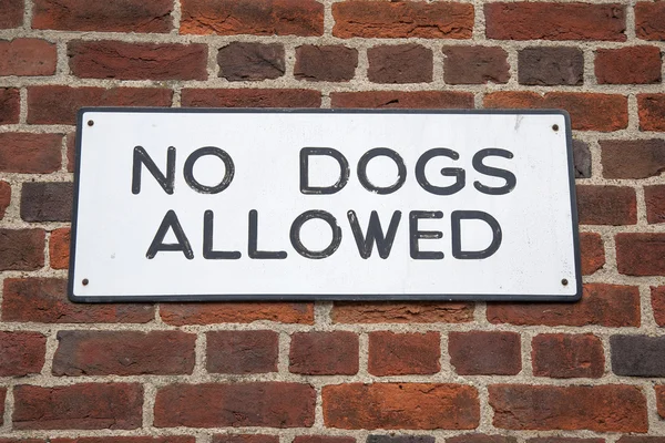 Geen honden toegestaan bord — Stockfoto