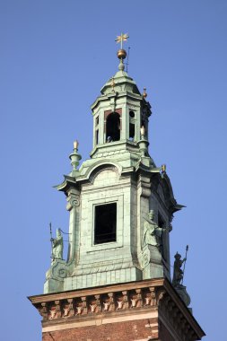 wawel hill cathdral, krakow Kulesi