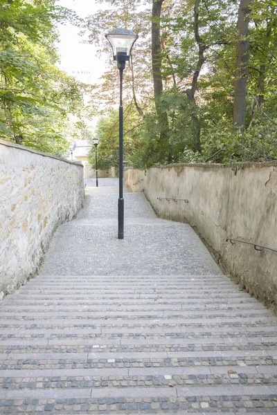 Petrin hill park, prague, Çek Cumhuriyeti — Stok fotoğraf