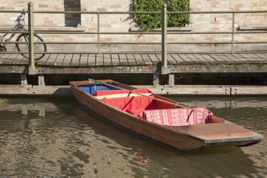 cam Nehri, cambridge teknesinde kumar oynamak