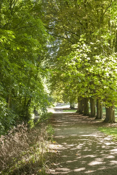 Footpath in Park in England, UK — Stock Photo, Image