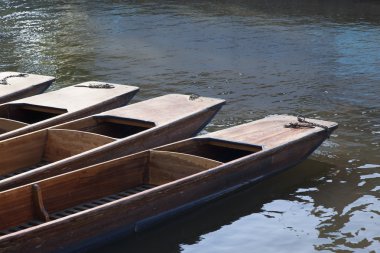 cam Nehri, cambridge punt tekneler