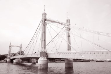 Albert Köprüsü, chelsea, Londra