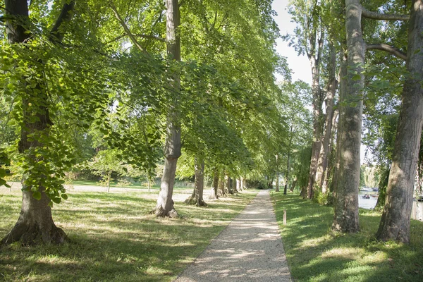 Cam Nehri, Cambridge çıkabilir