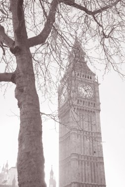 Big Ben'e ve Parlamento, westminster, Londra evleri