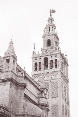 Giralda Kulesi, katedral, Sevilla - sevilla, İspanya, Avrupa