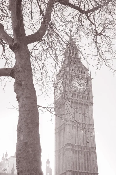 Big ben a domy parlamentu, westminster, Londýn — Stock fotografie