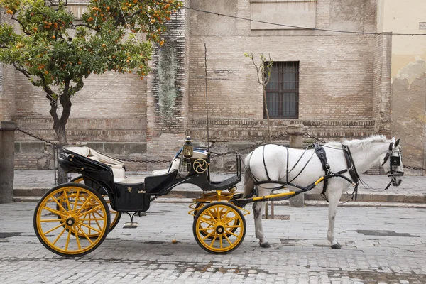 Kathedrale, Sevilla - Villa mit Pferd und Kutsche, Spanien — Stockfoto
