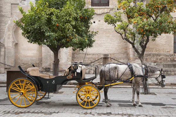Katedrála, Sevilla - sevilla s koně a kočár, Španělsko — Stock fotografie