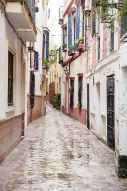 mahallede santa cruz, Sevilla tipik sokak