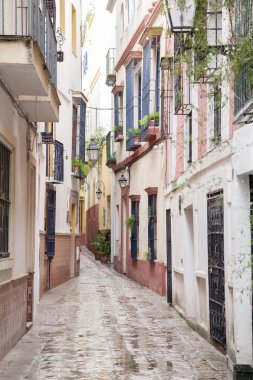 mahallede santa cruz, Sevilla tipik sokak