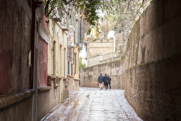 Callejon de aguas straße, santa cruz viertel, seville — Stockfoto